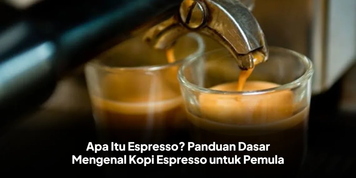 Apa Itu Espresso? Panduan Dasar Mengenal Kopi Espresso untuk Pemula