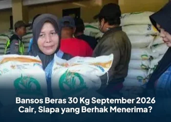 Bansos Beras 30 Kg September 2026 Cair, Siapa yang Berhak Menerima?