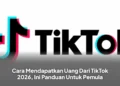 Cara Mendapatkan Uang Dari TikTok 2026, Ini Panduan Untuk Pemula