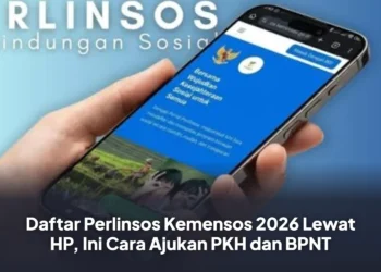 Daftar Perlinsos Kemensos 2026 Lewat HP, Ini Cara Ajukan PKH dan BPNT
