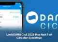 Limit DANA Cicil 2026 Bisa Naik? Ini Cara dan Syaratnya