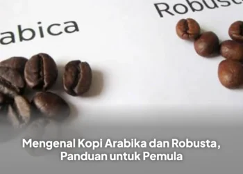 Mengenal Kopi Arabika dan Robusta, Panduan untuk Pemula