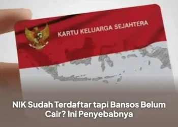 NIK Sudah Terdaftar tapi Bansos Belum Cair? Ini Penyebabnya