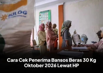 Cara Cek Penerima Bansos Beras 30 Kg Oktober 2026 Lewat HP