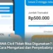 DANA Cicil Tidak Bisa Digunakan? Ini Cara Mengatasi dan Penyebabnya