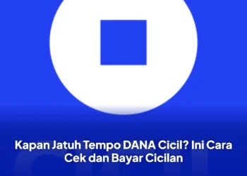 Kapan Jatuh Tempo DANA Cicil? Ini Cara Cek dan Bayar Cicilan